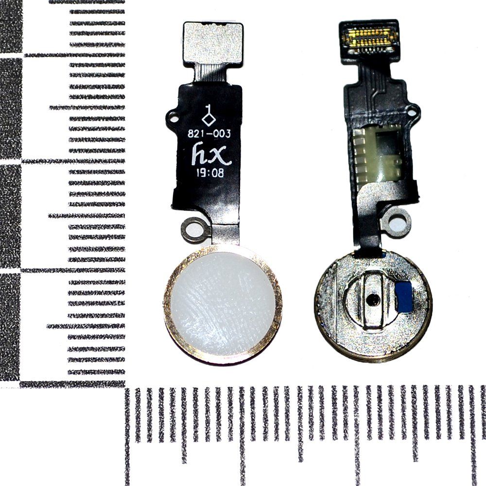 Механизм кнопки HOME iPhone 7/7 Plus/8/8 Plus с толкателем и шлейфом зол /работает без Bluetooth/ HX